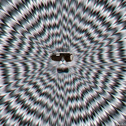 404429_10152021438846165_3239125_n