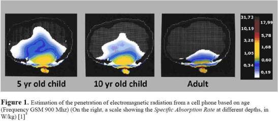 cell-phone-radiation-effects-exposed-and-what-you-can-do-about-it