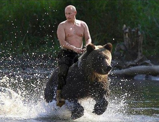 Vladimir-Putin-riding-a-bear