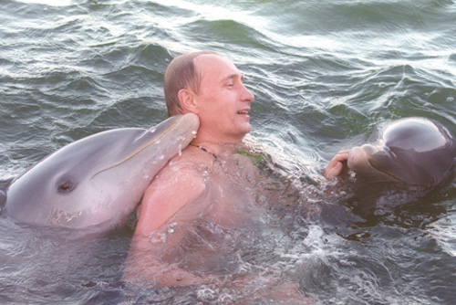 vladimir-putin-swimming-with-dolphins